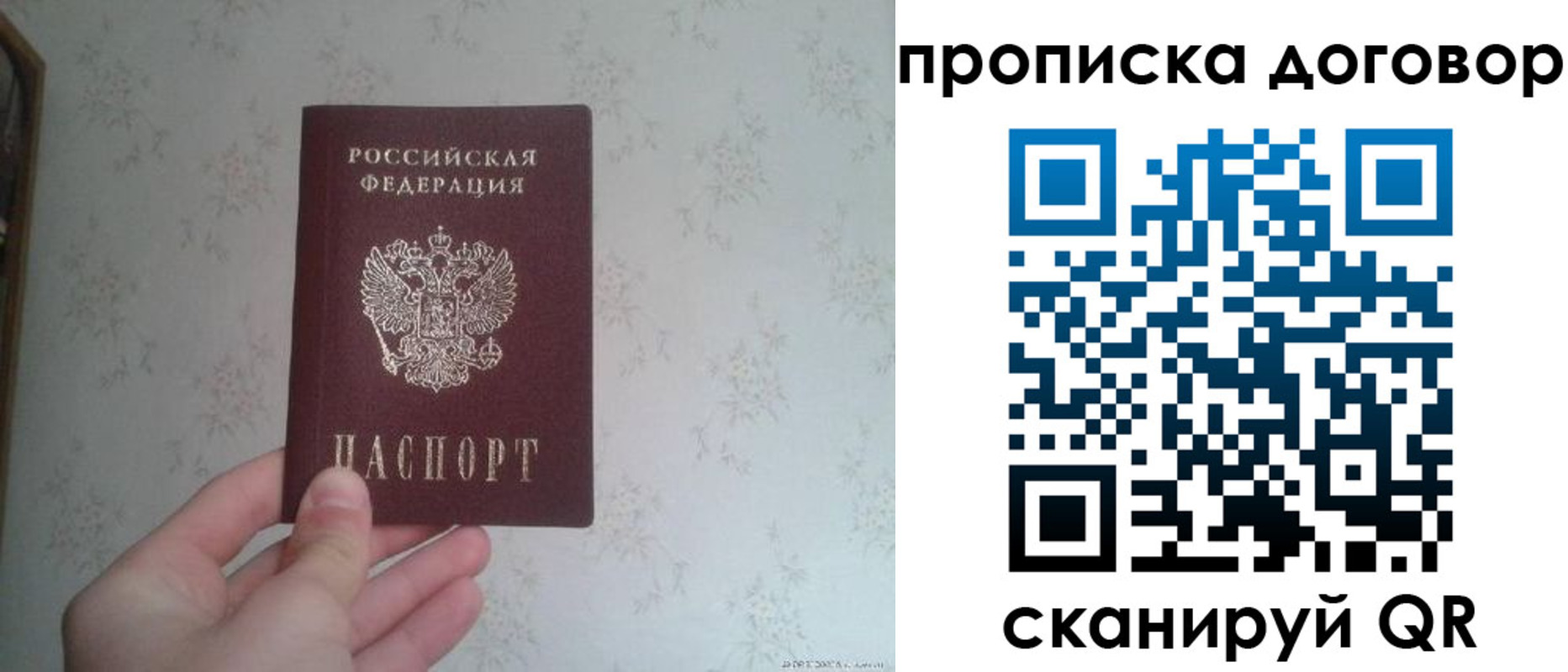 временная регистрация для школы в Фрязино