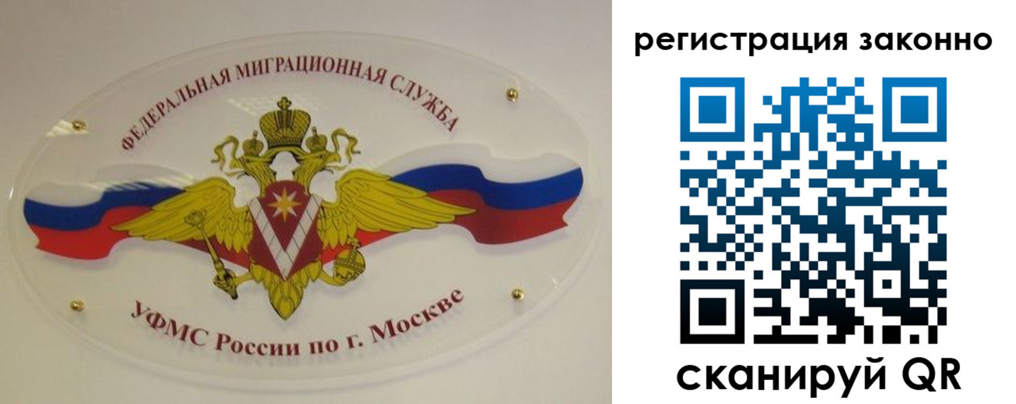 прописка для школы в Фрязино